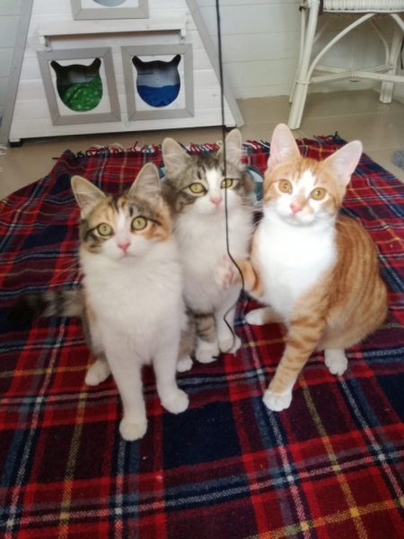 Doro, Dalia und Diego