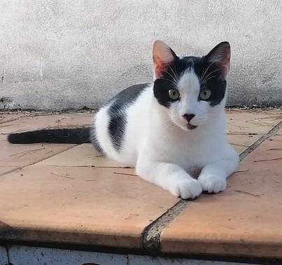 Emilio und Cleopatra