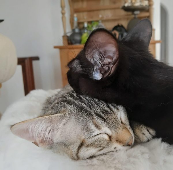 Joy und Janni