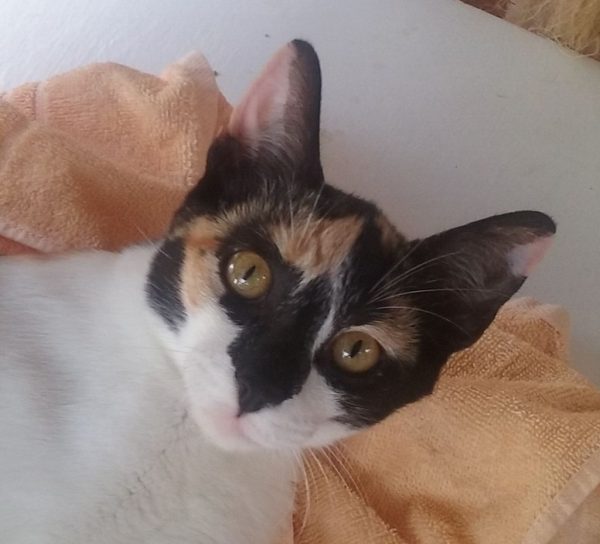 Natalie – jetzt Bonnie