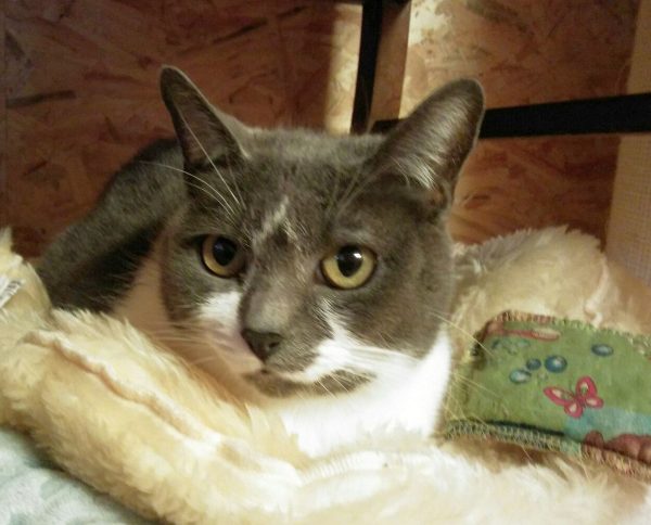 Priscilla und Sydney